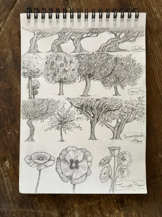 Botanical Sketching - Workshops - at Darb 15 Bait Arafa